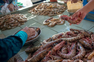 Tips Memilih Udang Segar Saat Berbelanja di Pasar Tradisional